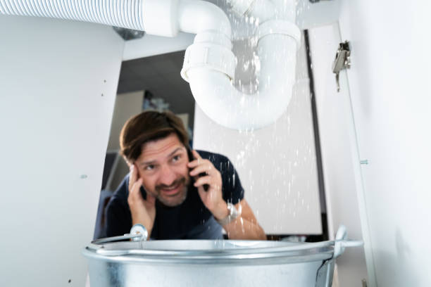 Best Water Softener Installation  in Hampton, GA